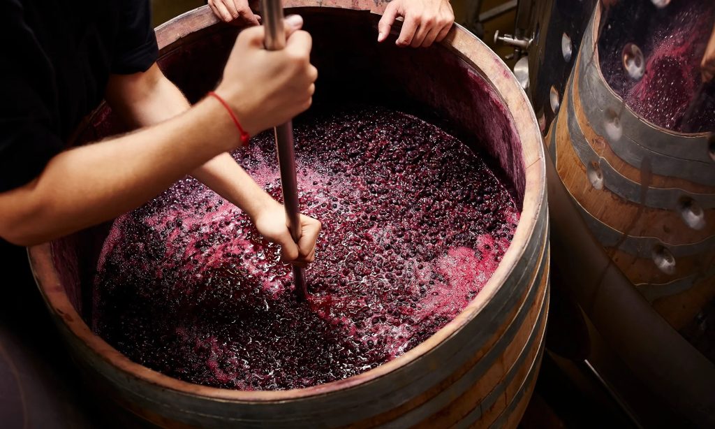 fermentacion del vino