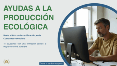 Ayudas prod eco CV (1)